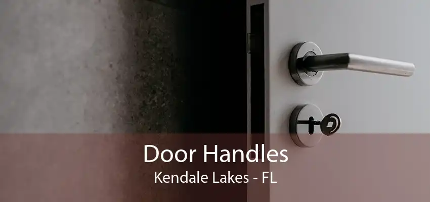 Door Handles Kendale Lakes - FL