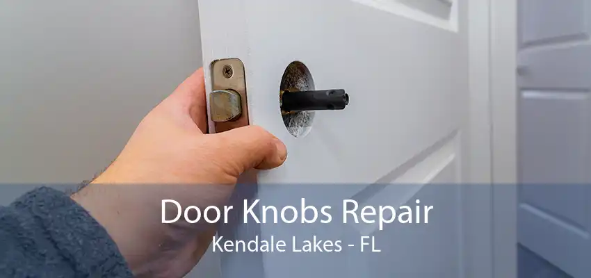 Door Knobs Repair Kendale Lakes - FL