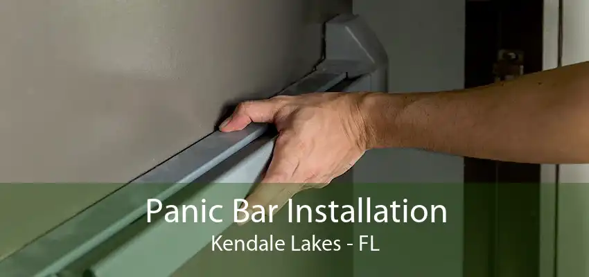 Panic Bar Installation Kendale Lakes - FL